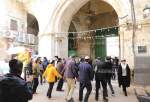 عشرات المستوطنين يقتحمون المسجد الأقصى من باب المغاربة  