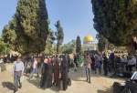 تجمع فلسطینیان در «مسجدالاقصی» به مناسبت روز جهانی قدس