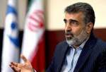 Iran says IAEA fully aware of activities in Nazanz complex