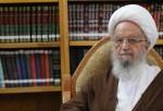 “Stronger Shia-Sunni relations will foil plots”, Ayat. Makarem