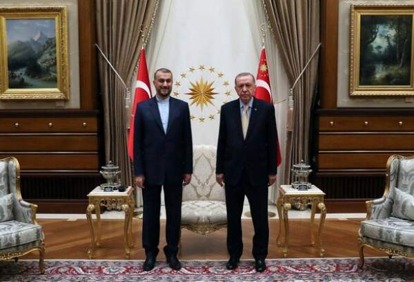 امیرعبداللهیان با «اردوغان» دیدار کرد