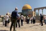 فراخوان تعرض دسته‌جمعی یهودیان به مسجد الاقصی