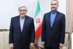 Iran appoints envoy to UN Vienna