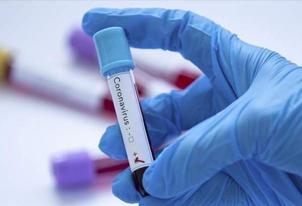 US researchers find possible universal monoclonal antibody coronavirus treatment