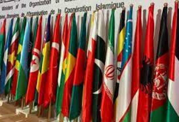 OIC condemns Israeli occupation crimes in Palestine