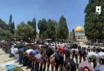 حضور ۵۵ هزار فلسطینی در نماز جمعه مسجدالاقصی با وجود ممانعت رژیم صهیونیستی