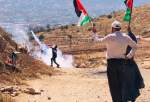 37 Palestinians injured in Israeli attack on Nablus