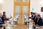 سخنگوی انصارالله با مشاور وزیر امور خارجه دیدار و گفتگو کرد