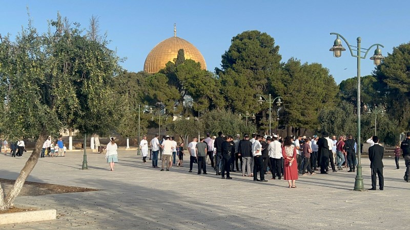 عشرات المستوطنين يقتحمون المسجد الأقصى ودعوات حثيثة للتصدي للاقتحامات  