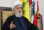 “Resistance against Israeli regime, noblest form of unity”, Hezbollah official
