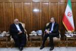 نخست‌ وزیر پیشین عراق با وزیر امور خارجه کشورمان دیدار و گفتگو کرد