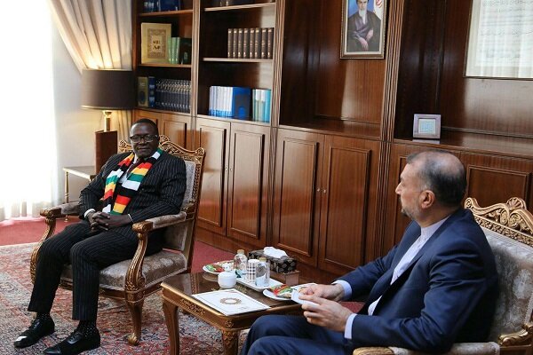 معاون وزیر خارجه زیمبابوه با امیرعبداللهیان دیدار کرد