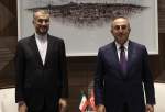 Iranian, Turkish FMs discuss developments at Syria-Turkey border