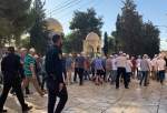 Scores of Israeli settlers break into Al-Asqa