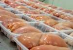 ذخیره سازی بیش از 700 تن مرغ در انبارهای هرمزگان