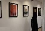 نمایشگاه آثار تجسمی «عقیق سرخ» در سنندج افتتاح شد