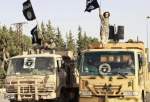 ISIL ringleader killed near Syria-Jordan border