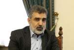 Iran warns against IAEA politicization