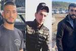 شهادت سه جوان فلسطینی به ضرب گلوله نظامیان صهیونیستی