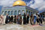 فلسطينيات يتطوعن لتنظيف باحات المسجد الأقصى استعدادا لشهر رمضان المبارك