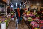 Flower market in Iranian capital Tehran ahead of Nowruz (photo)  