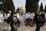 Over 1,500 Israeli settlers storm Al-Aqsa Mosque compound