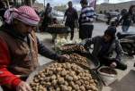 ISIS kills dozens of mushroom hunters in Syria – media