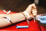 عملکرد شبکه ملی خون رسانی 40 درصد افزایش یافت