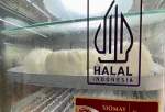 تلاش شرکت‌های مواد غذایی اندونزی برای دریافت مهر حلال تا سال 2024