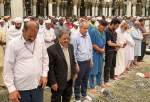 حضور زائران ایرانی در نمازهای جماعت مسجد النبی