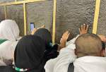 Hajj pilgrims pray in al-Haram Mosque (photo)  