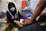 جدیدترین آمار ارائه خدمات پزشکی به حجاج ایرانی در مدینه