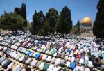 50 ألف مصلٍّ يؤدون الجمعة في المسجد الأقصى المبارك