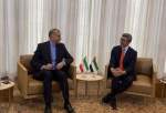 Iran, UAE FMs exchange views on mutual ties