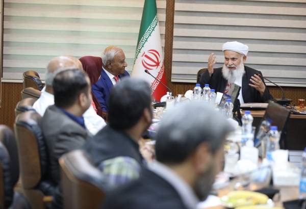 Iranian cleric from Islamic unity center meets Indian delegation of elites (photo)  