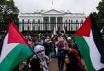 US pro-Palestine rallies call for ceasefire in Gaza  