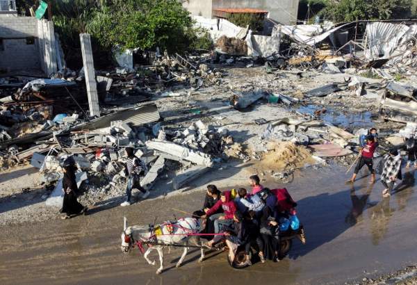 Palestinians return to their homes amid Israel-Hamas ceasefire (photo)  