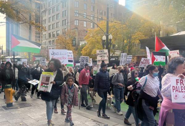 Anti-Zionist Jews hold pro-Palestine rally in New York (video)  