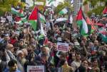 Pro-Palestine rallies continue amid Israeli bloodshed in Gaza (video)  