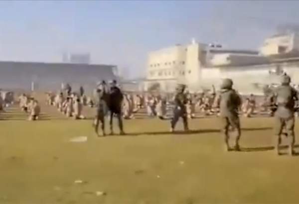 Israeli army gather Palestinian children, elderly in playground, strip down to their underwear