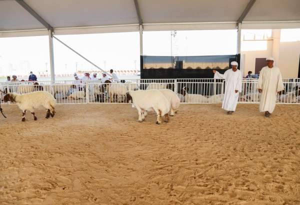 برگزاری دوازدهمین جشنواره حلال در قطر
