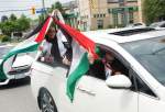Trucks display Palestinian flag in Denmark (video)