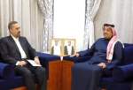 ایرانی وزیردفاع کی قطر میں میزبان ملک کے ہم منصب سے ملاقات