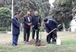 President Raeisi plants tree on National Tree Planting Day (photo)