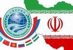 شنگھائی تعاون تنظیم میں ایران کے موثر کردار کی تعریف