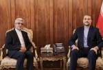 سفیر جدید ایران در نیجر با امیرعبداللهیان دیدار کرد