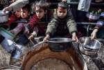Plus de la moitié de la population de Gaza au bord de la famine 