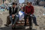 صیہونی حکومت کے 7 مجرمانہ حملوں،65 فلسطینی شہید ہ اور 192زخمی