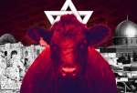 سرخ گائے پروجیکٹ: اسرائیلی حکومت کا الاقصیٰ میں یہودی ہیکل کی دوبارہ تعمیر کا منصوبہ