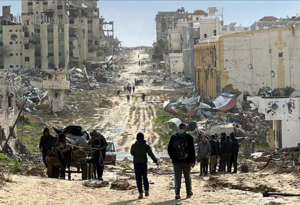 Egypt, Jordan, France call for immediate, permanent ceasefire in Gaza